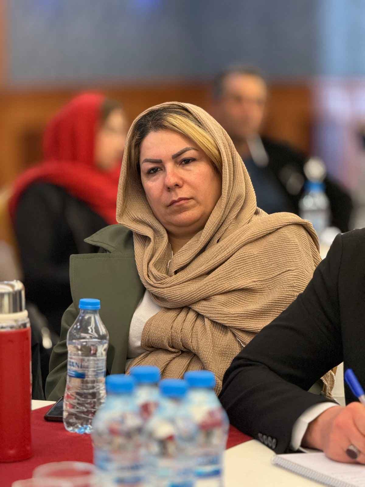 دیپلمات