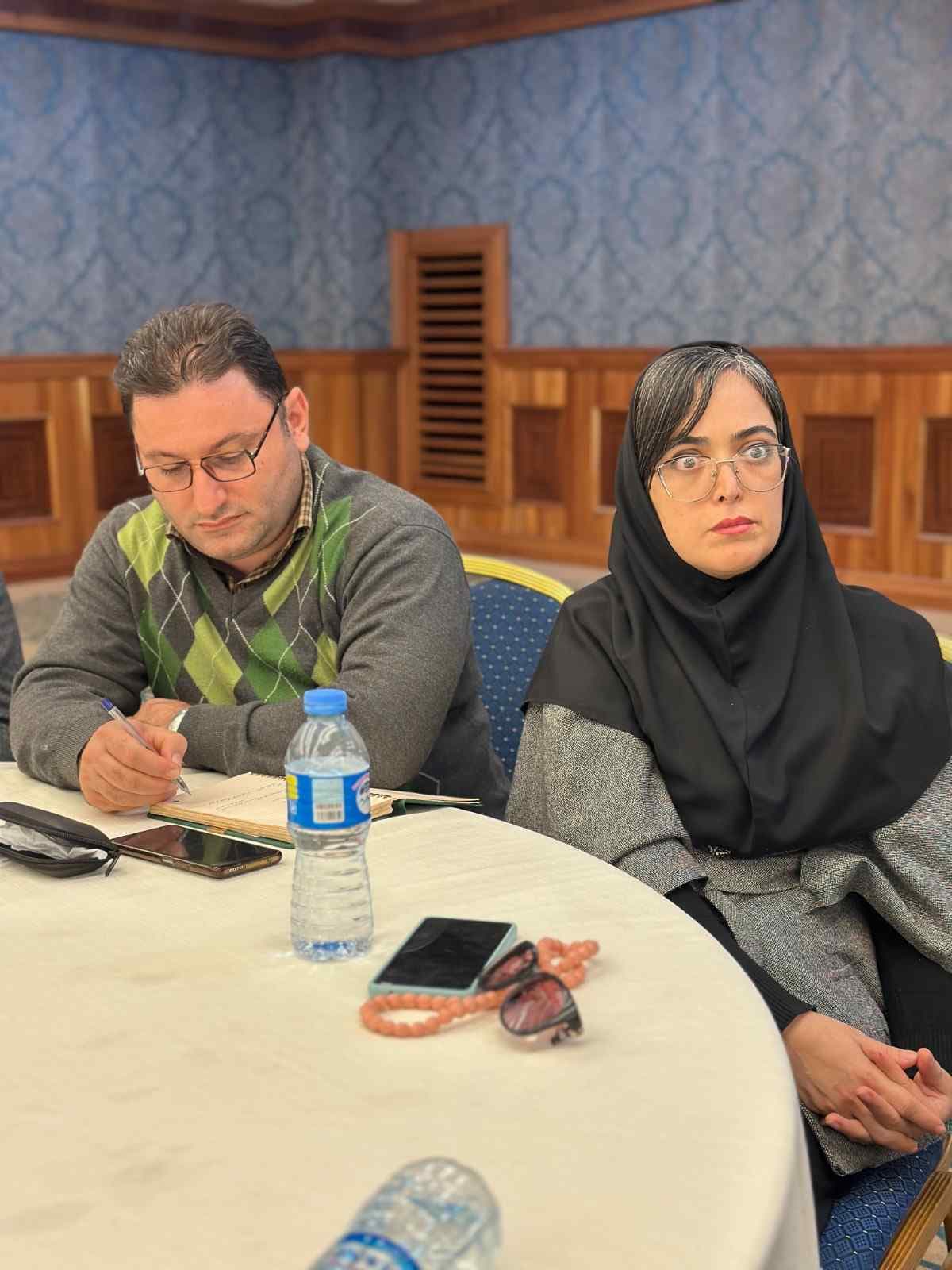 دیپلمات