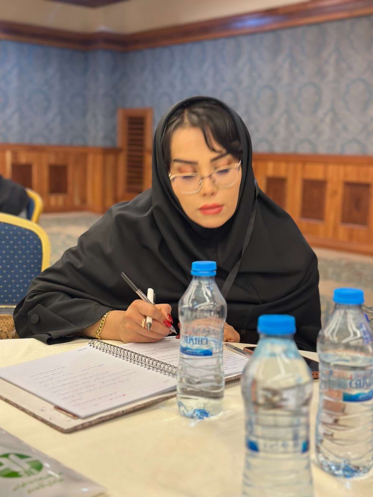 دیپلمات
