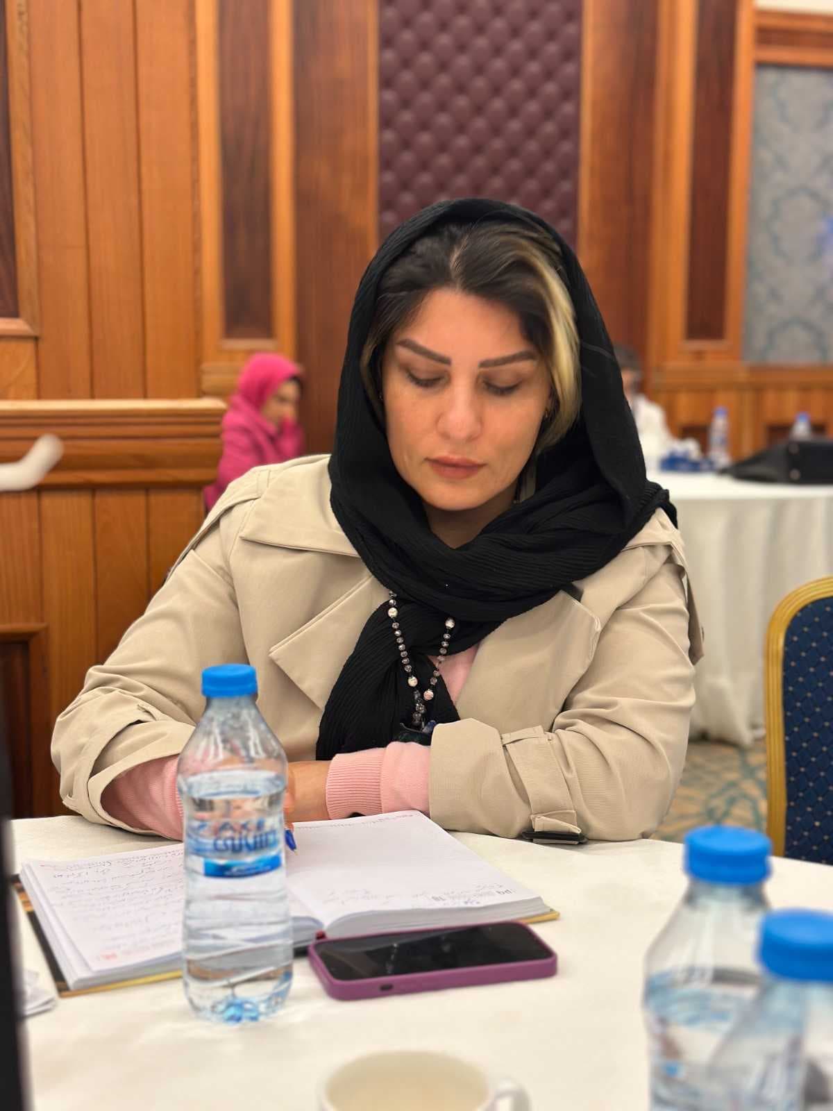 دیپلمات