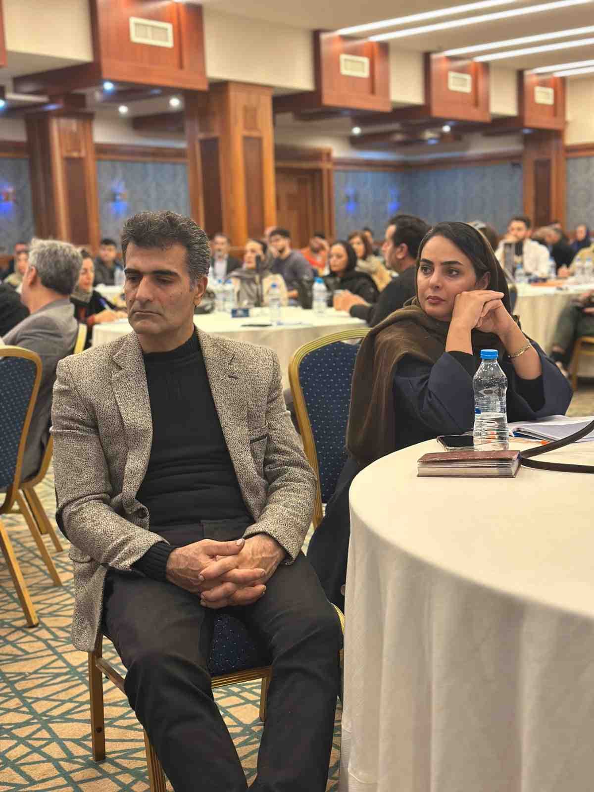 دیپلمات