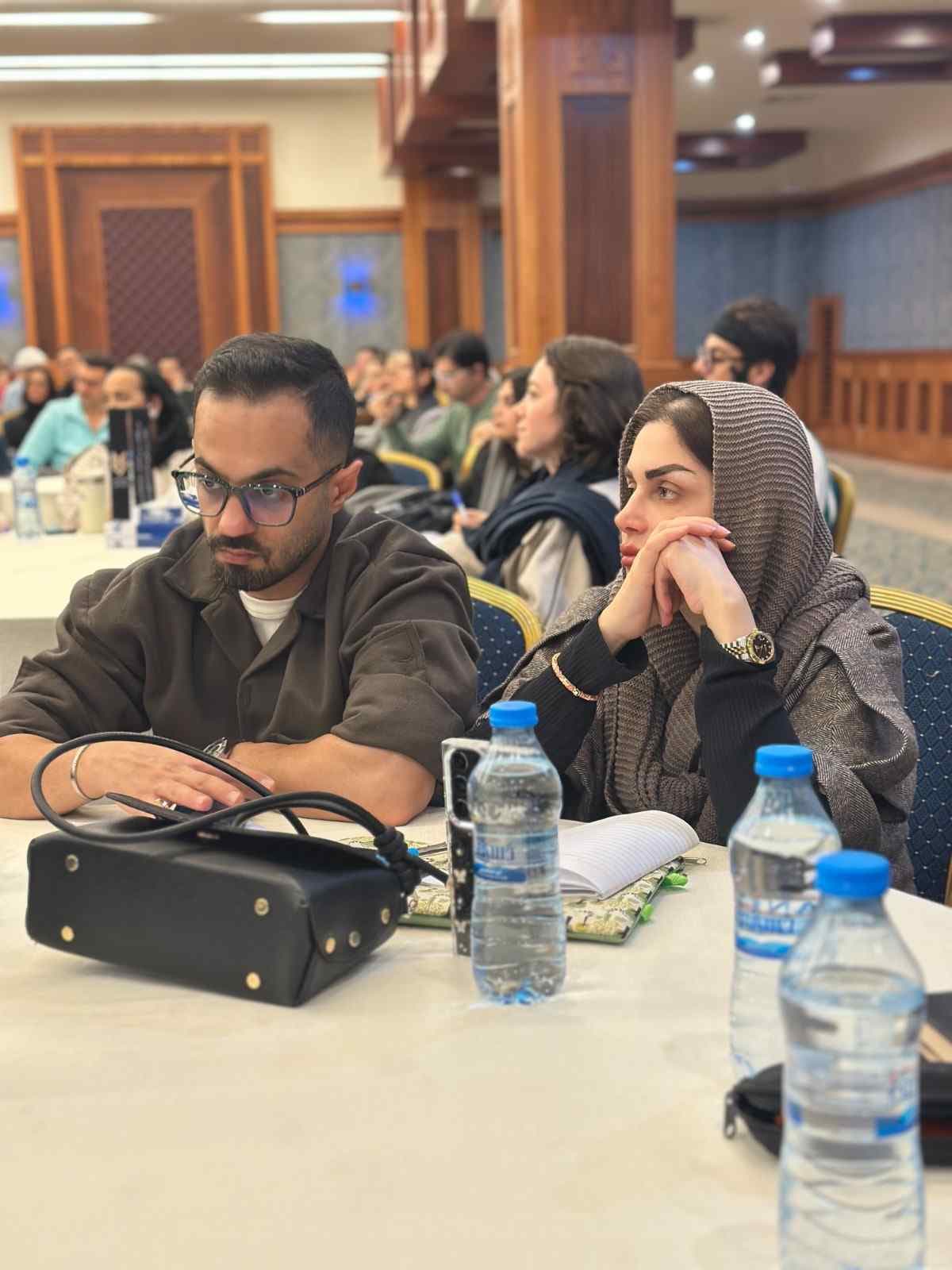 دیپلمات
