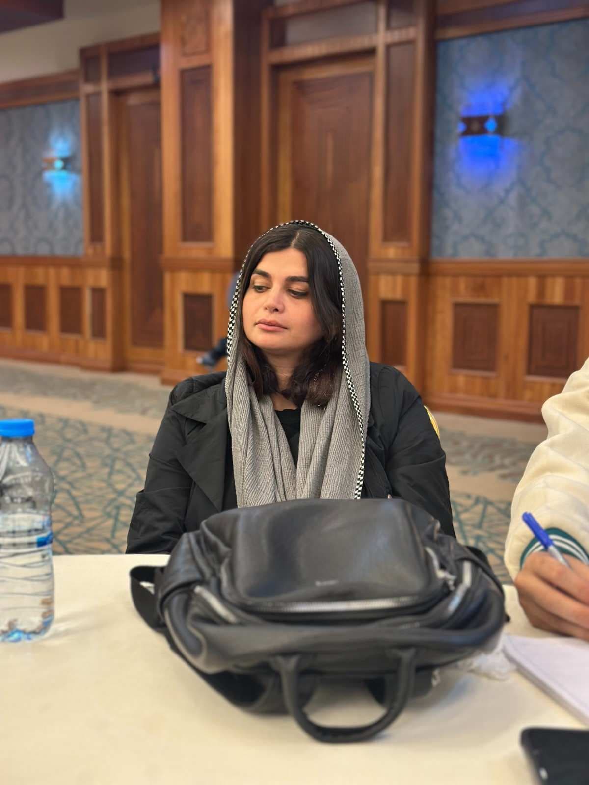 دیپلمات