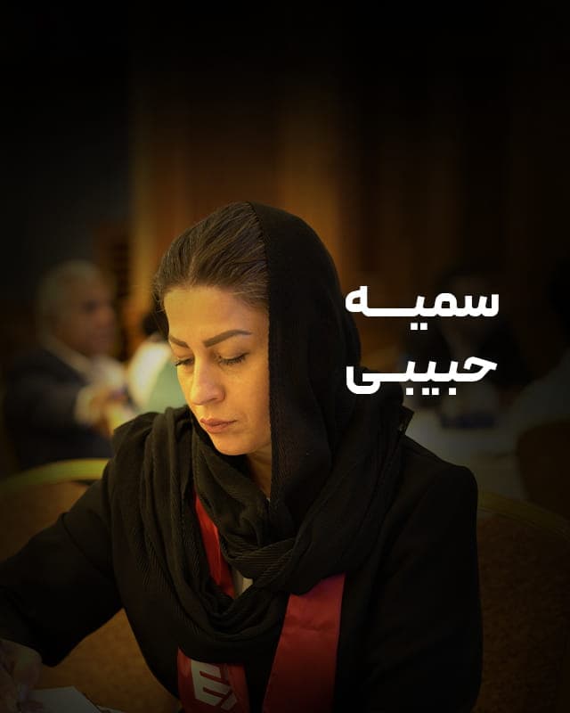 حس خوب دیپلماتی _ سمیه حبیبی