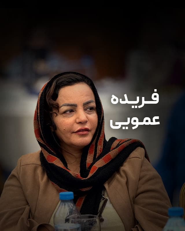 حس خوب دیپلماتی _ فریده عمویی